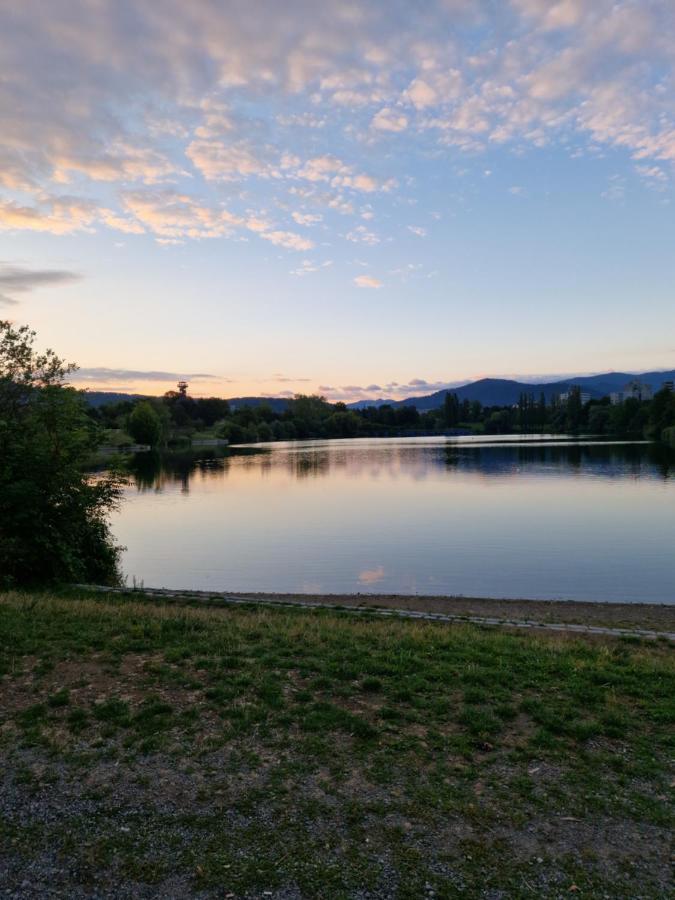Ferienwohnung Naturini Freiburg im Breisgau Exterior foto